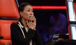 那英爆料事件最新消息,真相大白，幕后黑手浮出水面